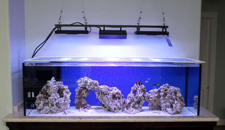 ecotech marine introduces the